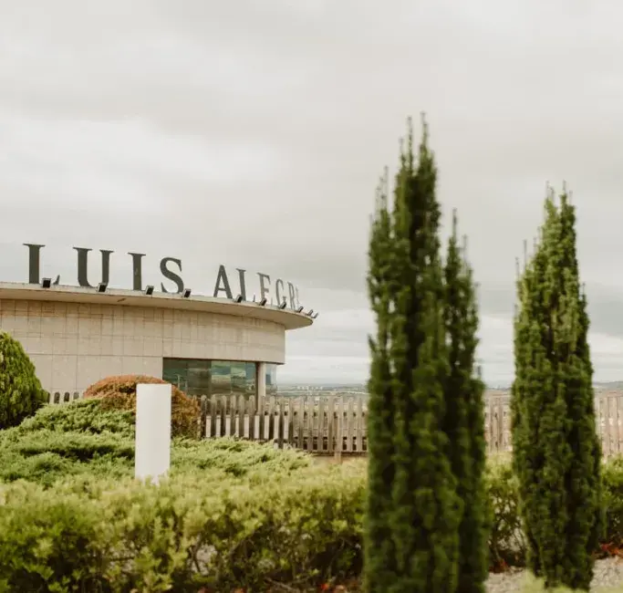 Bodegas Luis Alegre in Rioja Alavesa